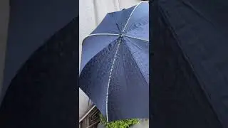 Spectacular men's blue Pasotti umbrella with spikes and skull handle &mdash; Mr. Wallet review