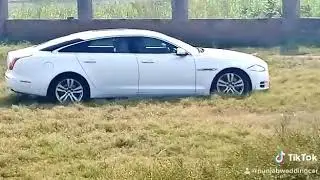 Jaguar XJL Luxury wedding cars in Shimla Dharamshala Himachal Pardesh