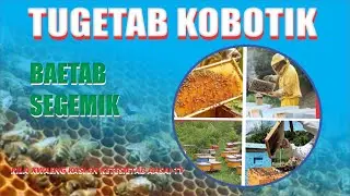 TUGETAB KOBOTIK BAETAB SEGEMIK AK KELJINOIK CHETINYE