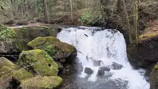 Whatcom Falls
