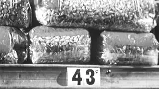 Esquire Inc. - Coronet Magazine - Understanding The Dollar - Educational Film - 1953