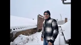 Snowfall in Germany 🇩🇪 #snowfal