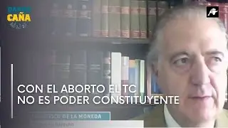 &iquest;Por qu&eacute; es &ldquo;inadmisible que se hable de conquista de derechos&rdquo; con el aborto?