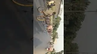 New donkey race 👍🏻👑🔥