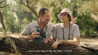 הצפרים