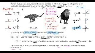 IB Math AI SL - May 2024 - Paper 1 - TZ 1