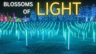 [4k] 🎄🎅 Blossoms of Light - Denver 2024 #walkingtour  Botanic Gardens
