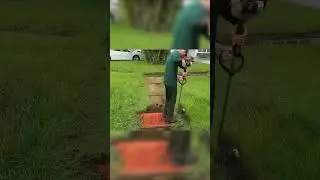 Lawn Transformation Stories: Mowing Super Tall Grass and Extreme Yard Makeovers.