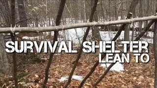 How to Build a Survival Shelter! - THE LEAN-TO!