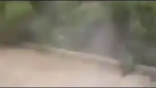 bike wheeler😥😰😥