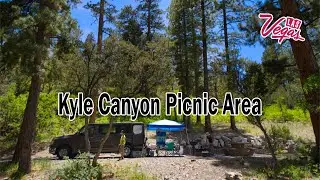 Picnic at Kyle Canyon campground | Mt. Charleston