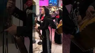 Mucho Corazon - Mariachi Folklore