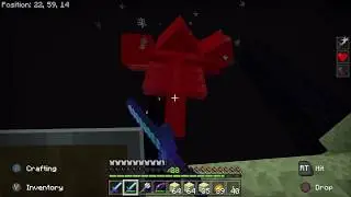 Fighting the Wither with 2 people in the End | Minecraft