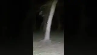 Scary woods at night! #paranormal #ghost #creepy #haunted #chills #nukestop5 #alone #live #nighttime
