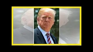Democrats sue Trump, Russia and WikiLeaks