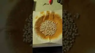 How To Make Crappie Nibbles Last Longer