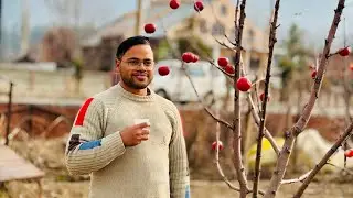 Apple valley m tagda seen ho gya hmare sath real apple dekhne gae the aur artificial apple dekh liye