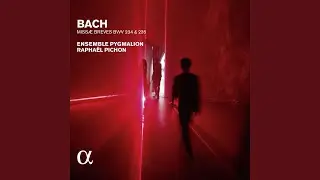 Missa brevis in A Major, BWV 234: II. Gloria