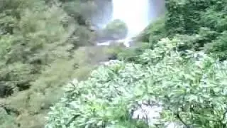 MOV07879