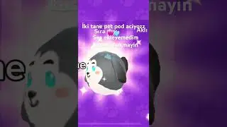 İki tane pet poddd