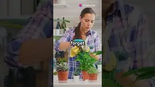 Grow Herbs Indoors with Minimal Sunlight # short