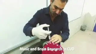 Dr. Efthymios Papatzikis - Brain and Music Project @CUD