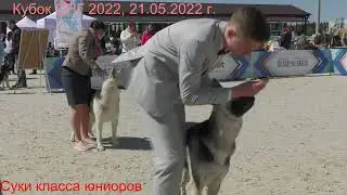 СЮ