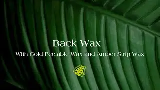 Back Wax with Gold Peelable and Amber Strip Wax #beautytraining #beautytips #waxhairremoval #waxing