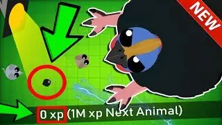 MOPE.IO *ZERO* XP CASSOWARY TROLLING // Mope.io Best & Funny Moments