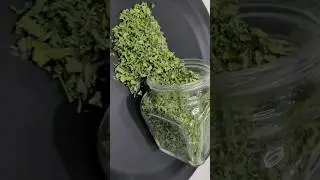 Home Made Kasuri Methi Recipe Video Coming Soon Guys Stay Connected 🙏 #shorts #kasurimethi