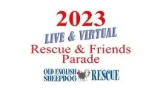 Sheepdog Rescue 2023