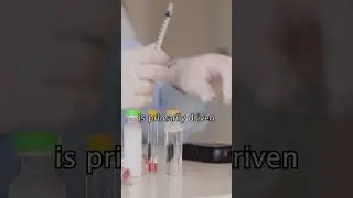 Is Insulin Harming Your Heart? Learn the Real Cause