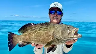 CRYSTAL CLEAR WATER! Black Grouper Fishing! Catch and Cook!