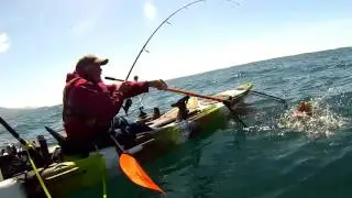 Ocean Kayak Fishing From A Feel Free Moken 14