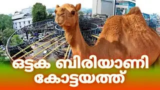 ഒട്ടക ബിരിയാണി/Camel Biriyani/camel meat in abu Dhabi / UAE യിൽ നിന്ന് എങ്ങനെ ഒട്ടക ഇറച്ചി വാങ്ങാം.