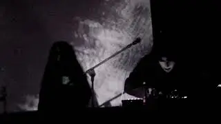 DMT [DEAD LEAVES] - ECO