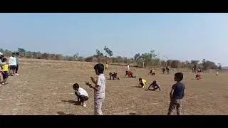 Frog race