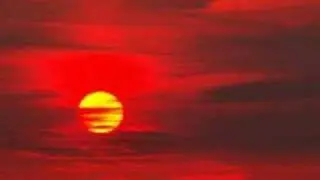 BORIS SOSA -SHOKORY