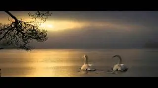 Serenade - Most Beautiful Happened (Hoyaa Remix)