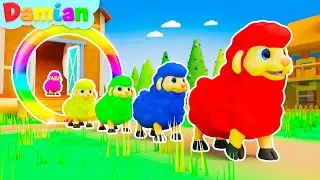 Baa Baa Black Sheep! 🐑 | Damian Nursery Rhymes & Kids Songs