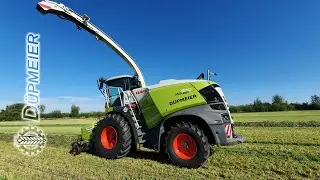 HD | Grash&auml;ckseln mit Claas Jaguar 970(498) und Fendt 930 S4 mit Claas Cargos 8500