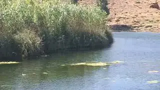 بحيرة ويوان  جمال طبعي خلاب