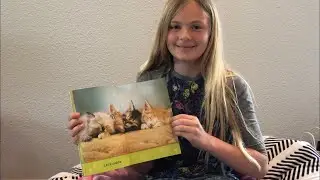 National Geographic Play, Kitty & Swim, Fish Explore the Coral Reef