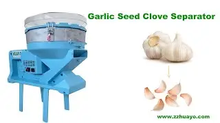 Cracking and Grading Garlic Bulb efficiently to get good Seed Garlic for planting by HGS-600
