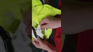 Removing snake from glue trap