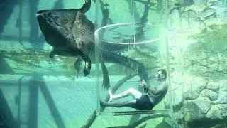 5 Things to Do in Darwin, NT, Australia