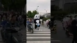 FUNNY PANDA RIDING BIKE 😍😍❤️❤️🥰🥰🤣