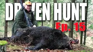 DRIVEN HUNT EP. 15 - Wild boar & deer in southern Sweden