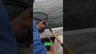 Гигантская рыбная схватка! Вы не поверите, какой улов!