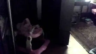 tuesday isn't at her house c:
